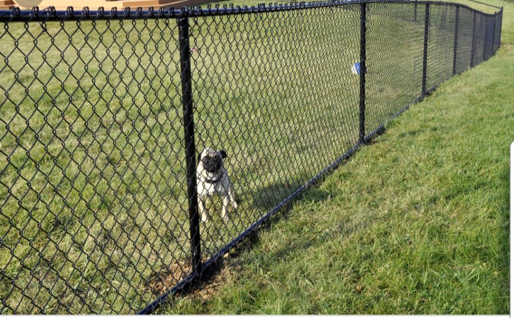 Chain Link Fence Builders in Tallahassee FL